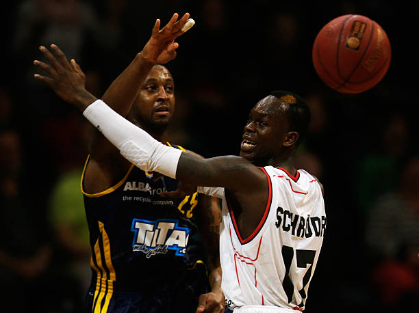 他们不仅在 他们不仅在